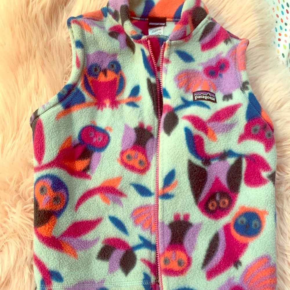 Patagonia vest